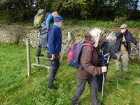 Last stile before joining the Oxen Park road.