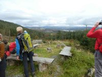 “The View” of Windermere from Hazel Seat Wood