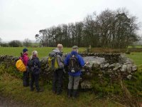 Inspecting an Andy Goldsworthy Sheep Fold installations – funny sheep!