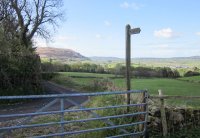 Looking back to Farleton Knott