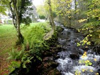 Force Beck at Force Mills Farm