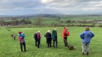 Admiring the view from Hanging Hill 