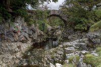 Bridge at the lunch-spot