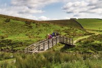 Bridge at Nether Lodge