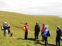 Photo opportunity above Whitecombe Beck Valley