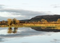 Reflections in Burton Mosses Floodwater