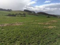 Towards Dalton Old Hall from Henridding