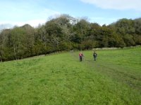 In to Lark Spring Wood