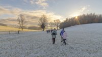 Walking past Heronsyke wood