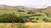 Descending from Wharfe Wood