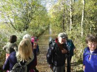 Progress halted by the flooded RSPB causeway