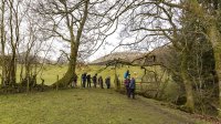 Stile below Buckbank - one of many on the walk! 