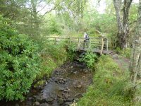 Over Moulin Burn and through the woods