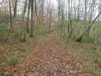 Along the foot of Middlebarrow Wood