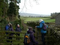 Down to the Haverbrack Lane