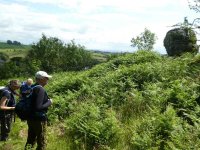 Inspecting the limestone erratic Hanging Scar