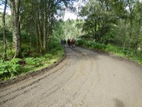 The mine lorries had churned up the forest road