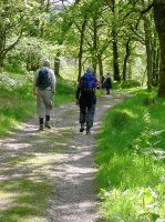 Loch Trool Forest Trail