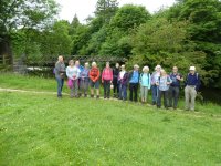 The Group by the suspension bridge