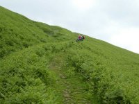 Ascending across the front of White Hall Knott