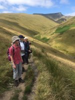 Sharp Edge in the background