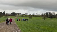 Crossing the new cattle track in Dalton Park