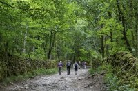 A woodland climb from Clapham church